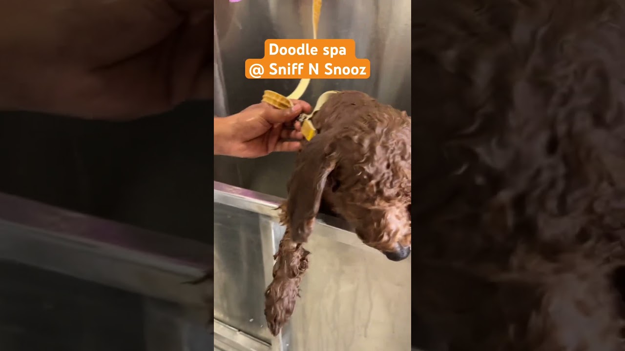 • Book grooming appointments • Inquire about home grooming packages