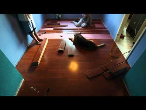 Laminate Floor Time Lapse