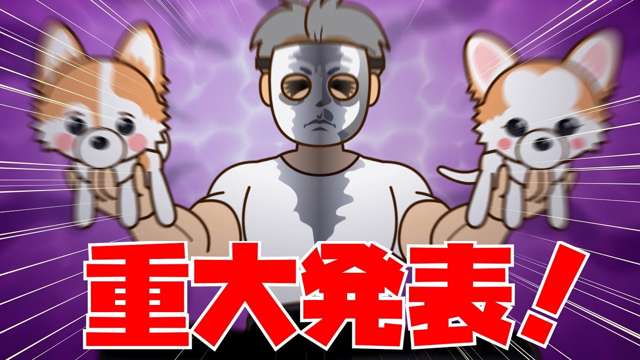 There is a big announcement from the Chihuahua Choppi Channel