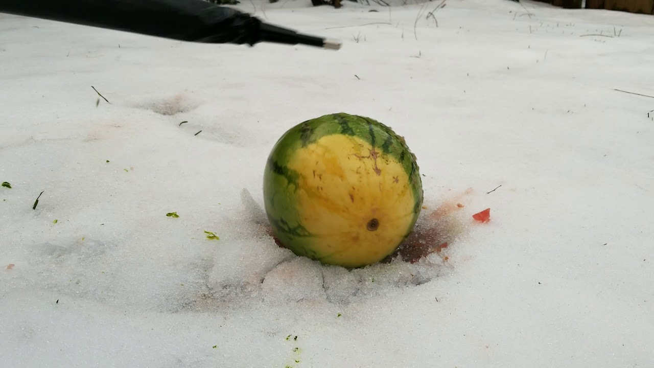 Unbreakable Umbrella - Watermelon Smash