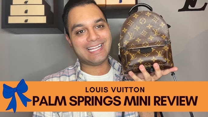 Louis Vuitton Palm Springs Mini Backpack for Sale in Houston, TX