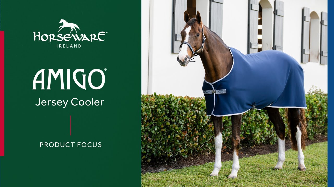 Amigo Jersey Cooler = Education – Lightweight Cooling, Stylish Comfort