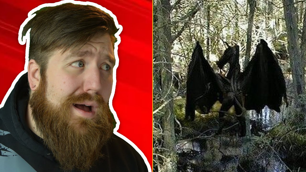 What They're Not Telling You About The Pine Barrens (Jersey Devil Sightings)
