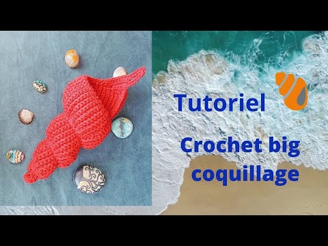 Vidéo: Comment Crocheter Des Coquillages