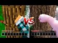 MINECRAFT vs VIDA REAL - ( Minecraft vs Real Life )