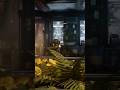 Back on gears after a month off #gamingshorts #gaming #gearsofwar5