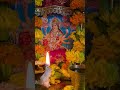 Mata Rani ka aashirwad lo sb acha hoga #students #matarani #bhajan #careersuccess #2026