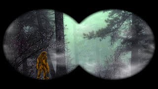 5 Bigfoot Howls Screams Captured On Camera