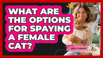 What Are The Options For Spaying A Female Cat?