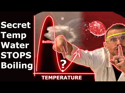 Leidenfrost Effect and Water Drops