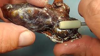 Fire Agate Tutorials ~ Deer Creek Final polish