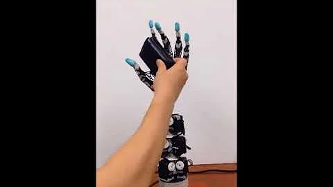 The Highly Biomimetic Anthropomorphic Robotic Hand