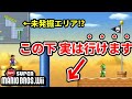 【衝撃】エディタを覗いたら新発見続出…【NewスーパーマリオブラザーズWii】