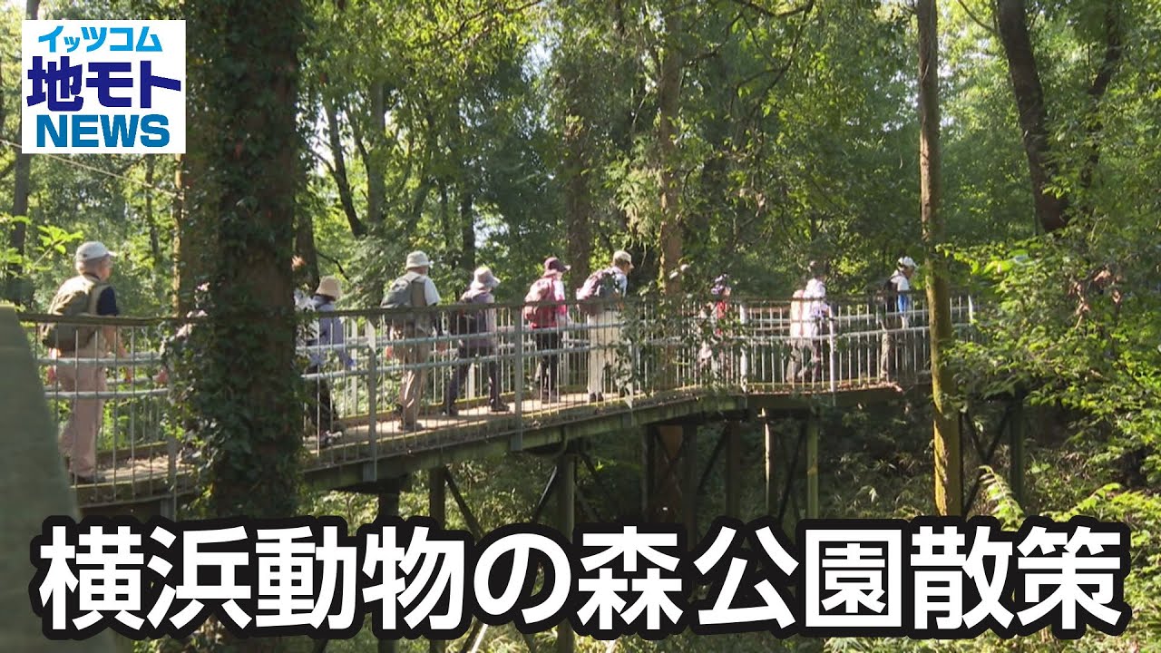 森の中の動物園 園内マップ – 九十九島動植物園森きらら