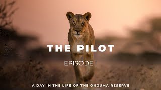 Episode 1 - The Pilot ⏐ A Day In The Life Of The Onguma Reserve
