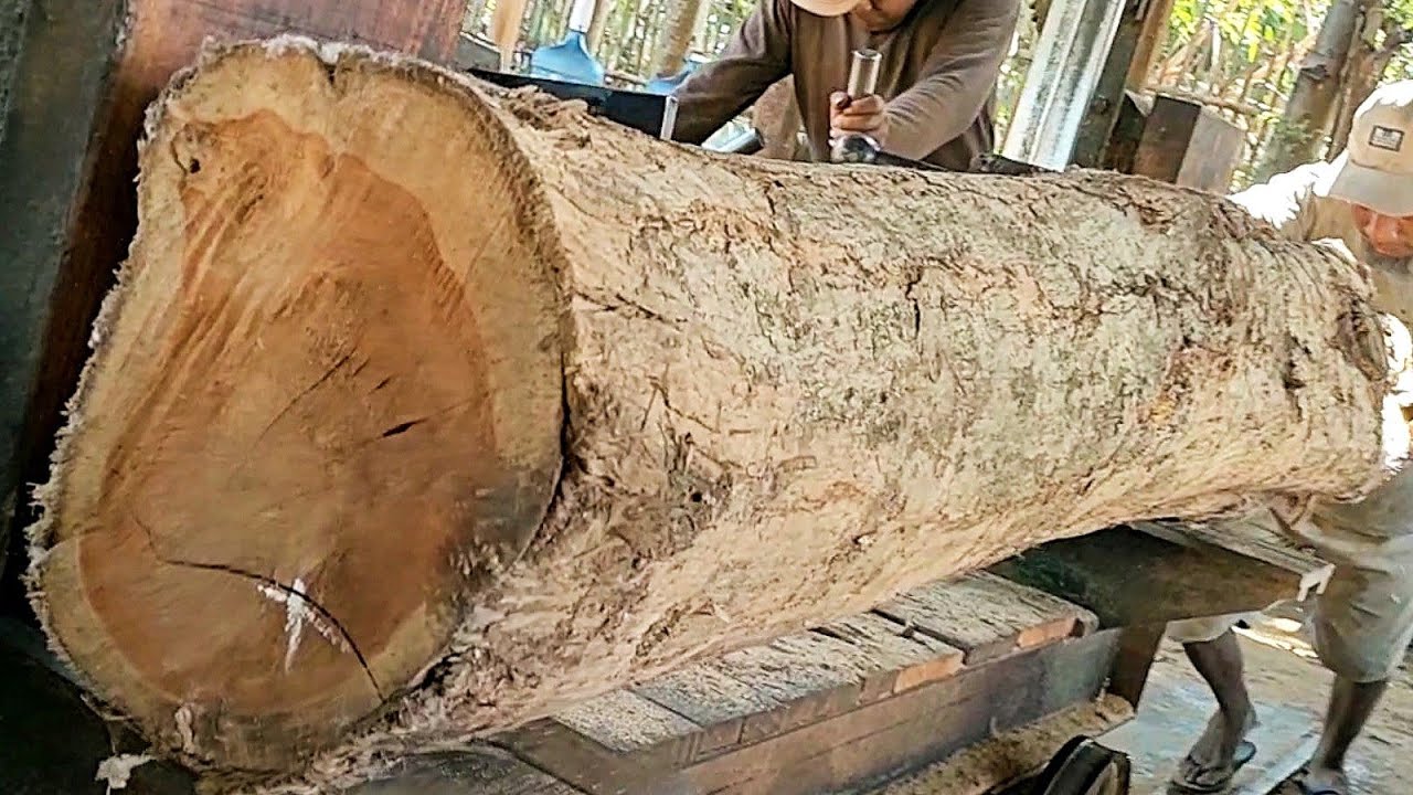 the amazing skill of sawing old teak logs into straight and smooth ...