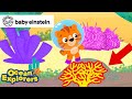 The Colors of Coral | Ocean Explorers Compilation | Baby Einstein | Kids Learning Cartoon