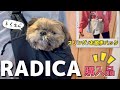 【シーズー】通販サイト、ラディカで犬用品お買い物♪スリングに入る愛犬が可愛い