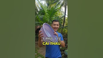 Cách nhớ từ Cái thau | Học đâu nhớ đó - Tiếng Anh 1 phút 1 từ