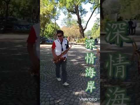 深情海岸 (伴唱有導音)音圓41704 金嗓56076 好樂迪70884