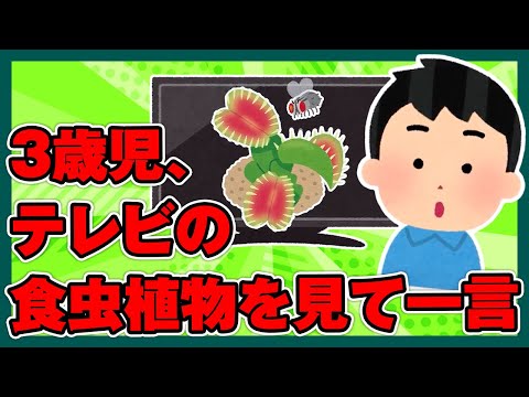 【2ch面白ほのぼの】3歳児がテレビで真ん中？に虫が止まったらぱたんって閉じる食虫植物を初めて見て一言【ゆっくり解説】