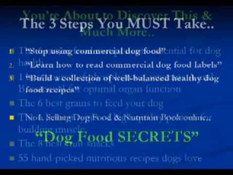 nutritious-dog-food-recipes-proper-golden-retriever-care