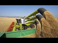 الآلات الزراعية الحديثة   حصاد القمح 2020 2021