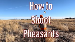 How to shoot Pheasants