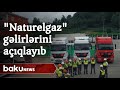 "SOCAR Türkiyə"nin paylama əməliyyatlarını təmin edən "Naturelgaz" gəlirlərini açıqlayıb