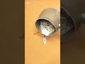 Molten Lead vs Toy Mold.             #Metalkaa