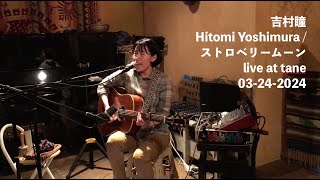吉村瞳 Hitomi Yoshimura (Japanese singer songwriter) / ストロベリームーン live at tane 03-24-2024