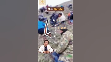 Cách Nhận Biết Đông Trùng Hạ Thảo Thật – Giả | Vinmec Sao Phương Đông