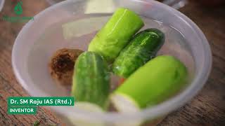 How To Leach Vegetables Miracle Drinks