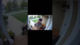 "Man Riding Giant Tortoise Crashes Into House Door While Delivering Parcel!" #cctv #tortoiserider