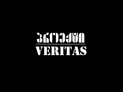 \'პროექტი Veritas\'__პრეზენტაცია ანა ჩიქოვანთან ერთად