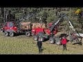 Holzernte 2021 - Durchforstung Baumfällung KOMATSU Harvester & Forwarder Forstarbeit forest machine