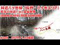 【2025全線映像】八ヶ岳線は贅沢すぎる爽快ダート【デジタルアーカイブ】