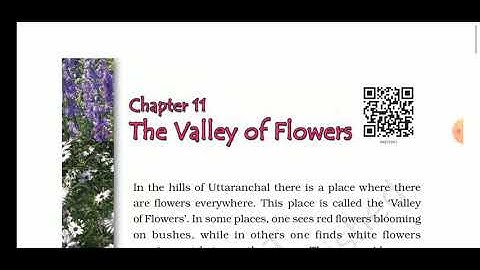 PPS class 4 EVS chapter 11 (Part 1)