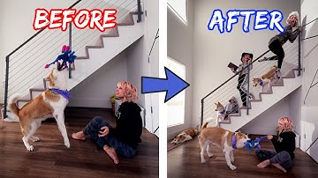 How To Clone Yourself...And Your Dog! - Photoshop CC Tutorial