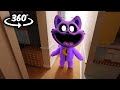 Smiling Critters CATNAP 360° - IN YOUR HOUSE!