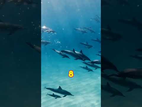 Интересные факты обо всём. #факты #история #животные
