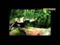 [IFSV2012]ミラクル昆虫王国 の動画、YouTube動画。