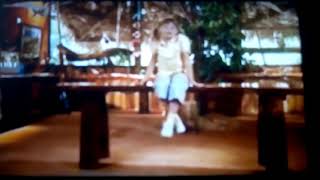 Bindi The Jungle Girl Welcome To My Treehouse