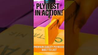 PLY WOOD QUALITY TEST | COMFORT SOFA &amp; FURNITURE | #comfortsofaandfurniture #100k #furniture #sofa