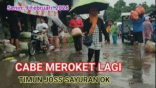 Download Lagu CABE MEROKET HAMPIR 90 RIBU DI PASAR INDUK PARE KEDIRI  MP3