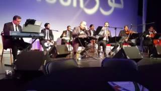 Q80Tone Nour festival London كويتي تون مهرجان نور لندن