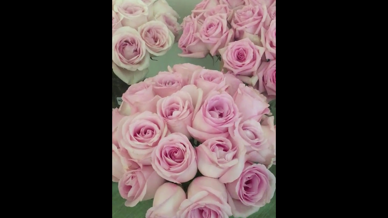 Pink Rose Study With Amato Wholesale – Flirty Fleurs The Florist Blog –  Inspiration For Floral Designers