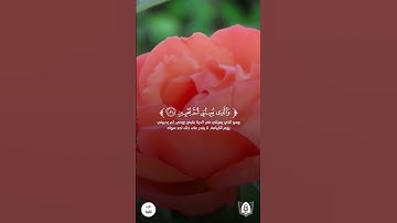#تلاوة من #سورة_الشعراء بصوت #أحمد_خضر #قرآن #قرآن_كريم #آيات #استغفرالله #الحمدلله #quran