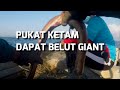 tahan pukat ketam dapat belut gaint