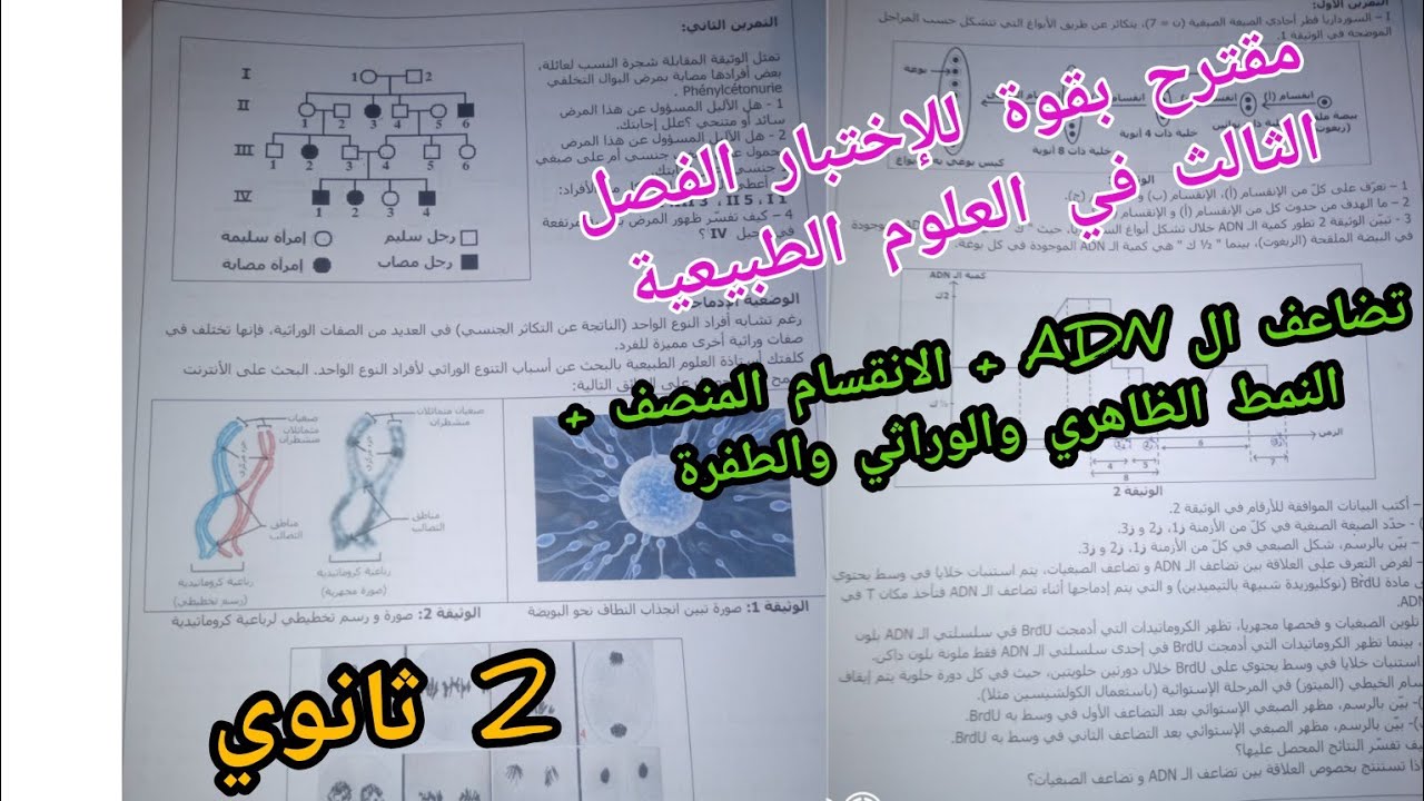 مقترح بقوة للإختبار الفصل الثالث في العلوم الطبيعية(الانقسام المنصف+تضاعف الADN+الطفرة) 2 ثانوي ع.ت